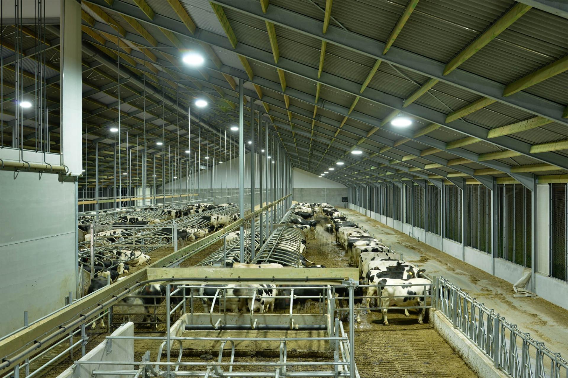 Stallen De veeteeltsector heeft net als andere industrieën typische vereisten zoals waterbestendigheid, ammoniakbestendigheid of het 24-uurs beheer van de lichtkleurtemperatuur, gezien dit een specifiek effect heeft op het dierenwelzijn en de prestaties.