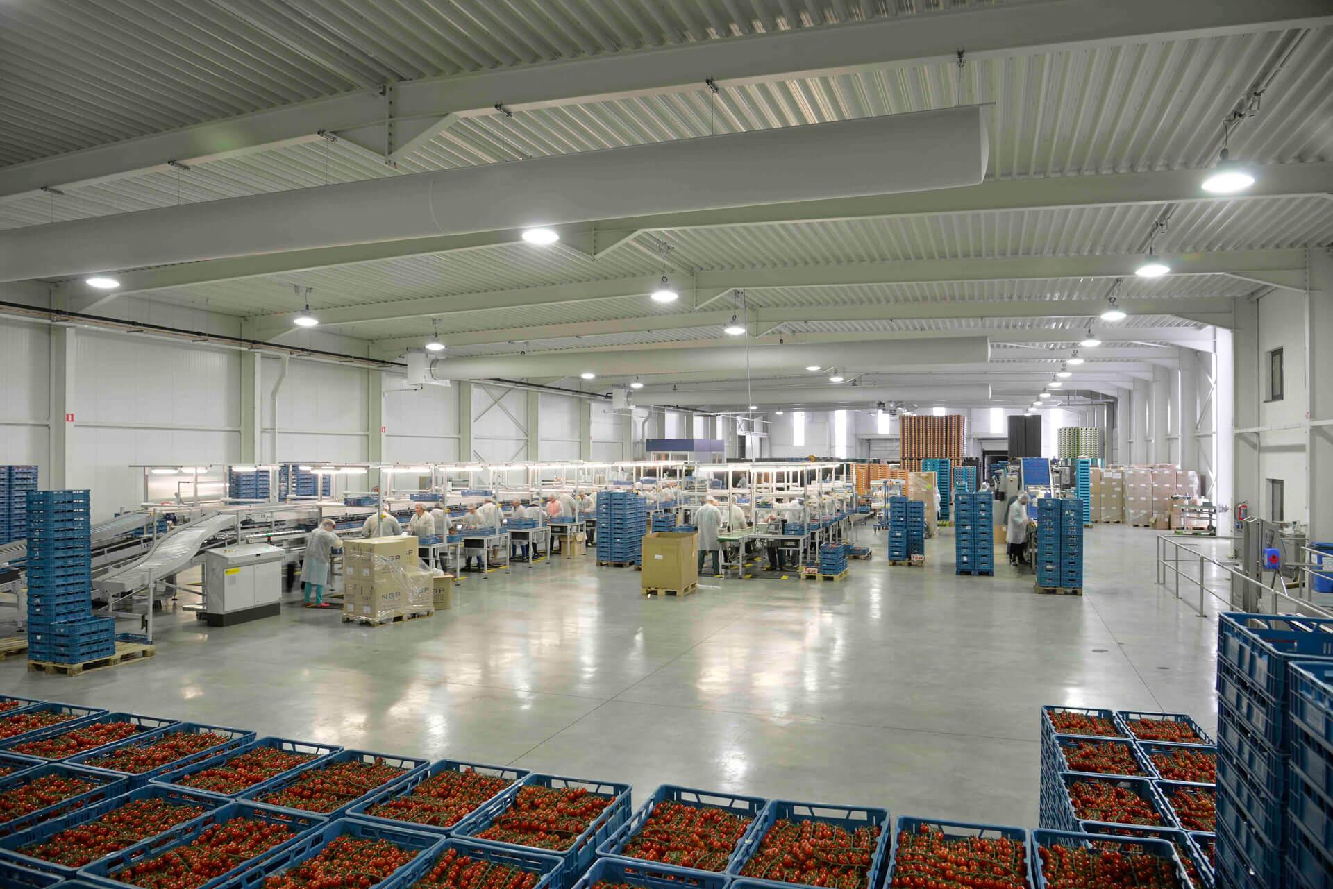 Fabrieken De producten van Ecolight Systems zijn ideaal voor het zwaardere werk, geschikt voor grote, hoge ruimtes en bestand tegen temperatuurschommelingen en vochtigheid.